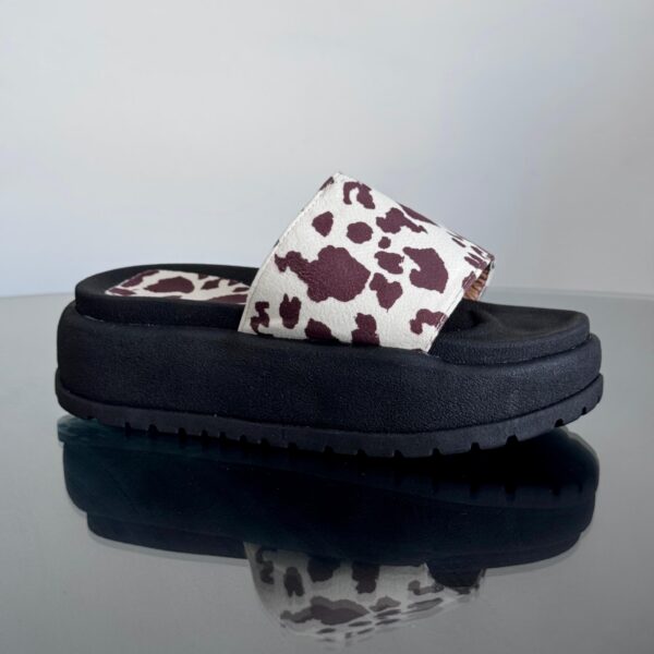 WhatsApp Image 2025-10-15 at 11.18.06 PM