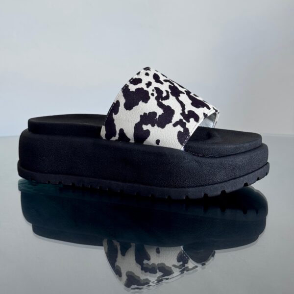 WhatsApp Image 2025-10-15 at 11.18.40 PM